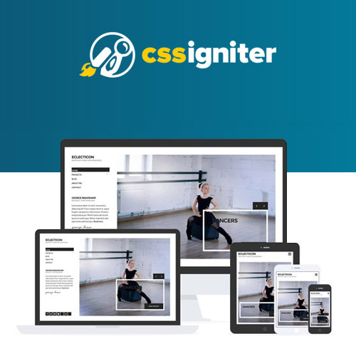 55 CSS-Igniter-Eclecticon-WordPress-Theme